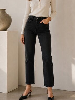 Aritzia Denim Forum Arlo High Rise Straight Jeans Black Eyeliner Size 27